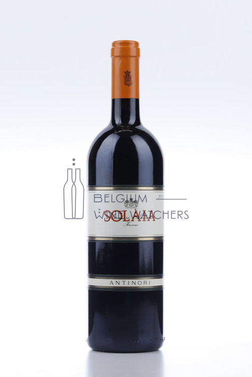 Picture of 2011 SOLAIA